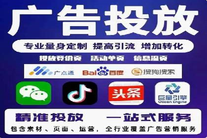 解析某某SEM服务公司的广告投放策略与效果评估